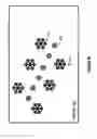 Fig. 08 - Directional stamping