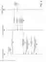 Fig. 16 - BONUS ELEMENT INTERLEAVED WAGERING SYSTEM