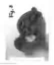 Fig. 04 - Dough cutters used to create objects to elicit letter sounds for educational learning and speech development.