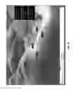 Fig. 11 - Methods and coatings for advanced audio recording and playback