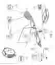 Fig. 03 - REMOTE HEALTHCARE DELIVERY DEVICES, SYSTEMS, AND METHODS