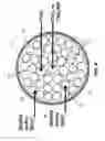 Fig. 07 - Nuclear fuel bundle containing thorium and nuclear reactor comprising same