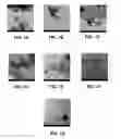 Fig. 02 - DIRECT SYNTHESIS OF RADIOACTIVE NANOPARTICLES INVOLVING NEUTRONS