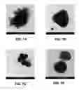 Fig. 08 - DIRECT SYNTHESIS OF RADIOACTIVE NANOPARTICLES INVOLVING NEUTRONS