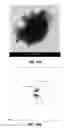 Fig. 11 - DIRECT SYNTHESIS OF RADIOACTIVE NANOPARTICLES INVOLVING NEUTRONS