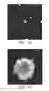 Fig. 06 - CONDUCTIVE POLYMER-MATRIX COMPOSITIONS AND USES THEREOF