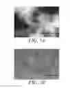 Fig. 08 - CONDUCTIVE POLYMER-MATRIX COMPOSITIONS AND USES THEREOF