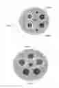 Fig. 05 - Composite cable