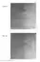 Fig. 04 - Method for producing stable dispersible magnetic iron oxide single-core nanoparticles, stable dispersible magnetic iron oxide single-core nanoparticles and uses of same