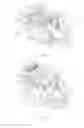 Fig. 03 - Switch for an electrical device