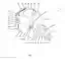 Fig. 05 - Switch for an electrical device