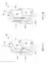 Fig. 12 - FinFET device having oxide region between vertical fin structures