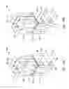 Fig. 19 - FinFET device having oxide region between vertical fin structures
