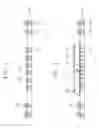 Fig. 02 - Semiconductor package structure and fabrication method thereof