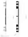 Fig. 14 - Semiconductor package and fabricating method thereof