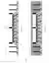 Fig. 25 - Semiconductor package and fabricating method thereof