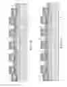 Fig. 06 - Nitride structure having gold-free contact and methods for forming such structures