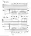 Fig. 72 - Liquid crystal display device and electronic device