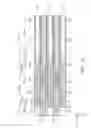 Fig. 14 - Semiconductor device