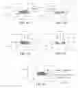 Fig. 03 - Low resistance source drain contact formation