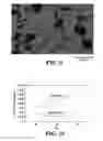 Fig. 06 - Silicon carbide/graphite composite and articles and assemblies comprising same