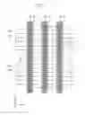 Fig. 14 - Semiconductor devices including recessed gate electrode portions