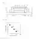 Fig. 06 - Light emitting device and light unit having same