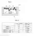 Fig. 05 - Light emitting device and image displaying system