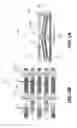 Fig. 03 - FLEXIBLE THERMOELECTRIC GENERATOR