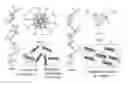 Fig. 01 - NANOFIBER WEB PIEZOELECTRIC MATERIAL OBTAINED BY ELECTROSPINNING POLYLACTIC ACID, METHOD OF PRODUCING SAME, PIEZOELECTRIC SENSOR COMPRISING SAME, AND METHOD OF MANUFACTURING THE PIEZOELECTRIC SENSOR