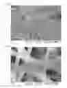 Fig. 21 - NANOFIBER WEB PIEZOELECTRIC MATERIAL OBTAINED BY ELECTROSPINNING POLYLACTIC ACID, METHOD OF PRODUCING SAME, PIEZOELECTRIC SENSOR COMPRISING SAME, AND METHOD OF MANUFACTURING THE PIEZOELECTRIC SENSOR