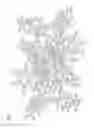Fig. 02 - Bi-nuclear main group metal phosphorescent emitter