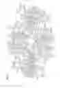 Fig. 03 - Bi-nuclear main group metal phosphorescent emitter