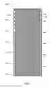 Fig. 09 - Lithium ion battery