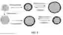 Fig. 04 - Lithium secondary batteries containing protected particles of anode active materials and method of manufacturing