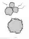 Fig. 04 - LiF-embedded SiG powder for lithium ion battery