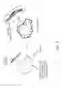 Fig. 06 - LiF-embedded SiG powder for lithium ion battery