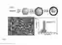 Fig. 02 - Yolk-shell nanoparticle, method and applications