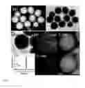 Fig. 03 - Yolk-shell nanoparticle, method and applications