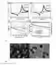 Fig. 06 - Yolk-shell nanoparticle, method and applications