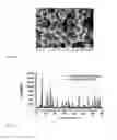 Fig. 08 - Yolk-shell nanoparticle, method and applications