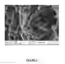 Fig. 03 - Silicon-carbon composite particulate material