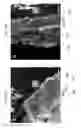 Fig. 08 - Regenerative polysulfide-scavenging layers enabling lithium-sulfur batteries with high energy density and prolonged cycling life and methods of making same