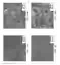 Fig. 21 - Regenerative polysulfide-scavenging layers enabling lithium-sulfur batteries with high energy density and prolonged cycling life and methods of making same