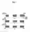 Fig. 02 - CATALYST LAYER FOR FUEL CELL ELECTRODE AND METHOD OF PRODUCING THE SAME