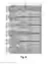 Fig. 04 - Device for an electrochemical cell