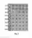Fig. 05 - Device for an electrochemical cell