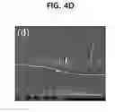 Fig. 11 - Composite polymer electrolyte membrane for fuel cell, and method of manufacturing the same