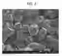 Fig. 04 - NONAQUEOUS ELECTROLYTE SECONDARY BATTERY POSITIVE ELECTRODE ACTIVE MATERIAL AND METHOD FOR MANUFACTURING SAME, AND NONAQUEOUS ELECTROLYTE SECONDARY BATTERY