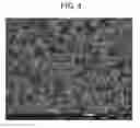 Fig. 05 - NONAQUEOUS ELECTROLYTE SECONDARY BATTERY POSITIVE ELECTRODE ACTIVE MATERIAL AND METHOD FOR MANUFACTURING SAME, AND NONAQUEOUS ELECTROLYTE SECONDARY BATTERY